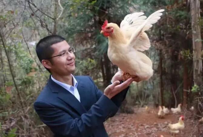 智慧农场认养一窝鸡，提前一年收到货款，网红农庄休闲农业模式方案